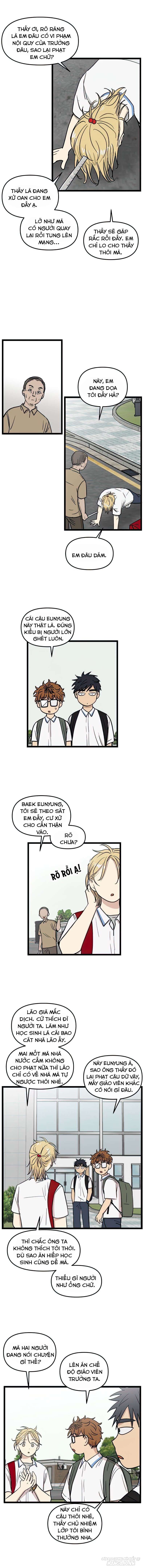 No Home Chapter 106 - Trang 2