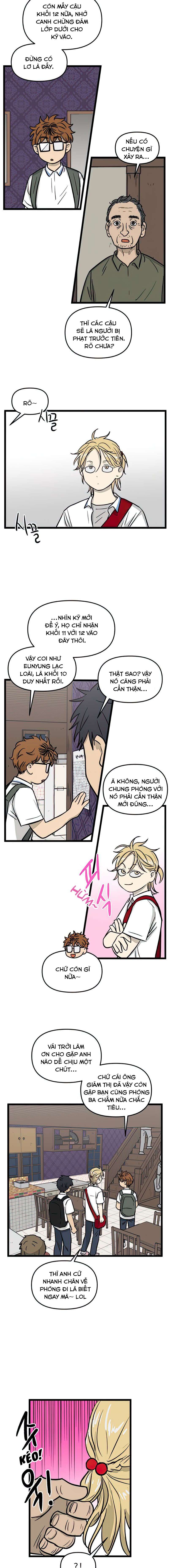 No Home Chapter 127 - Trang 2