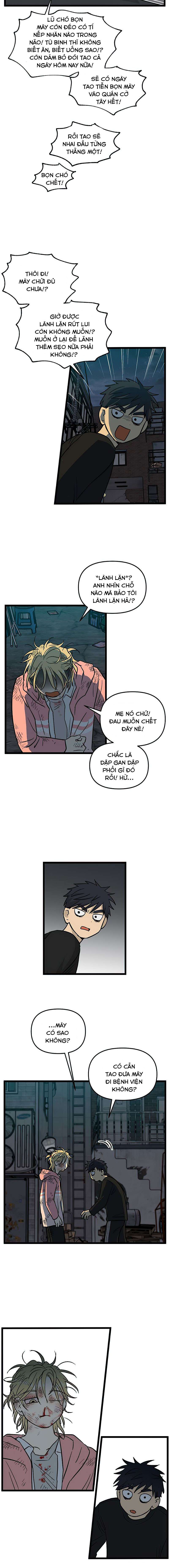 No Home Chapter 155 - Trang 2