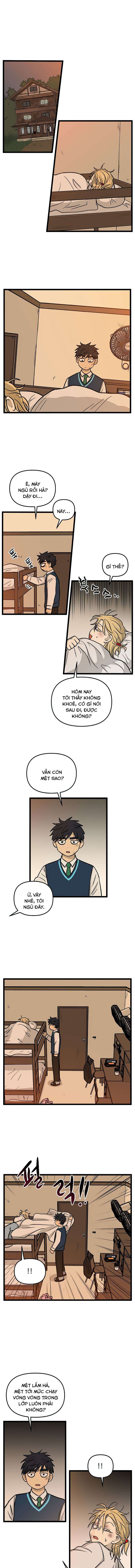 No Home Chapter 156 - Trang 2