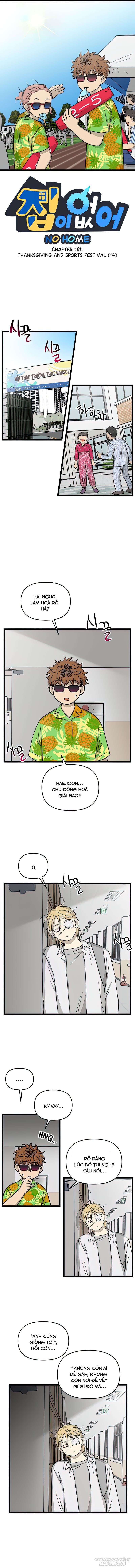 No Home Chapter 161 - Trang 2