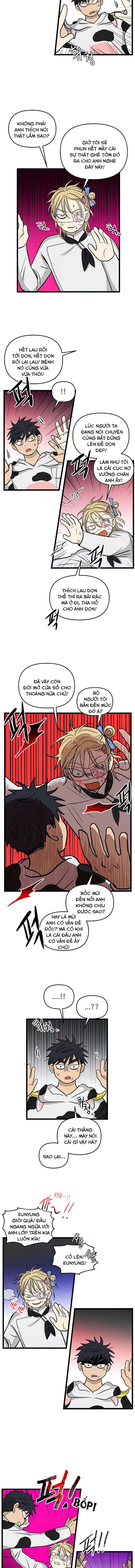 No Home Chapter 163 - Trang 2