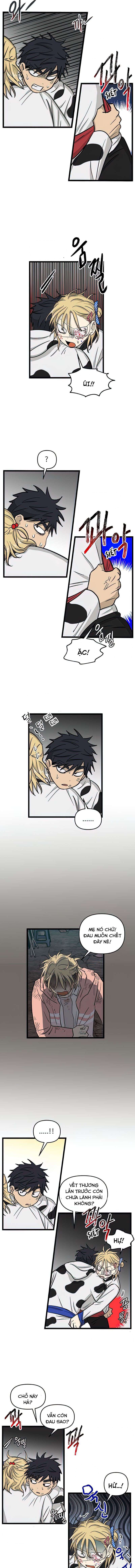 No Home Chapter 164 - Trang 2