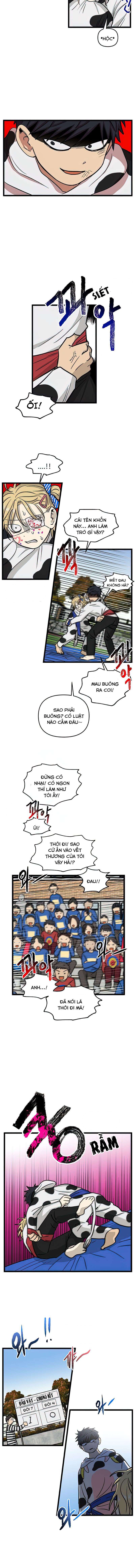 No Home Chapter 164 - Trang 2