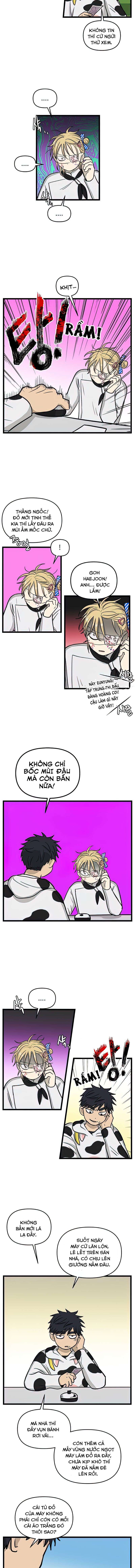 No Home Chapter 165 - Trang 2