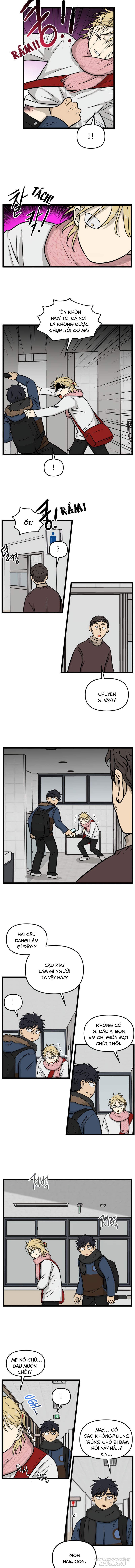 No Home Chapter 200 - Trang 2