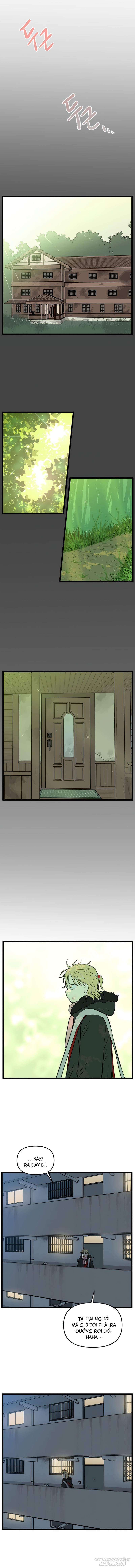 No Home Chapter 206 - Trang 2