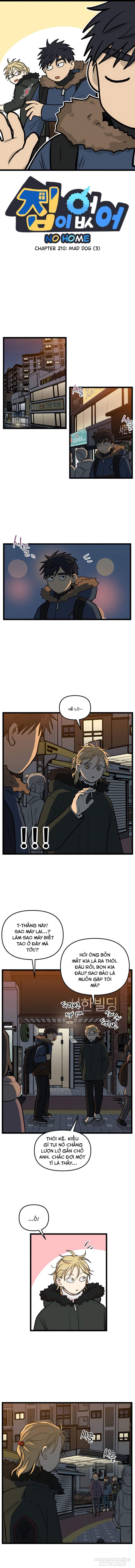 No Home Chapter 210 - Trang 2