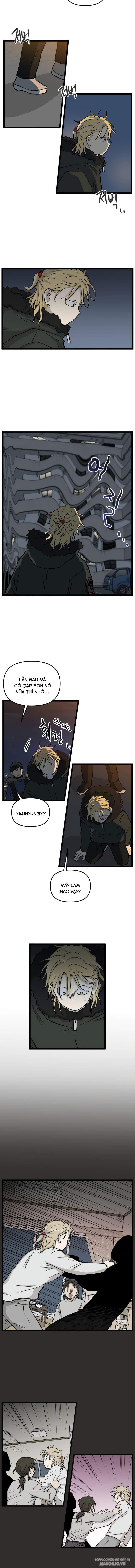 No Home Chapter 210 - Trang 2