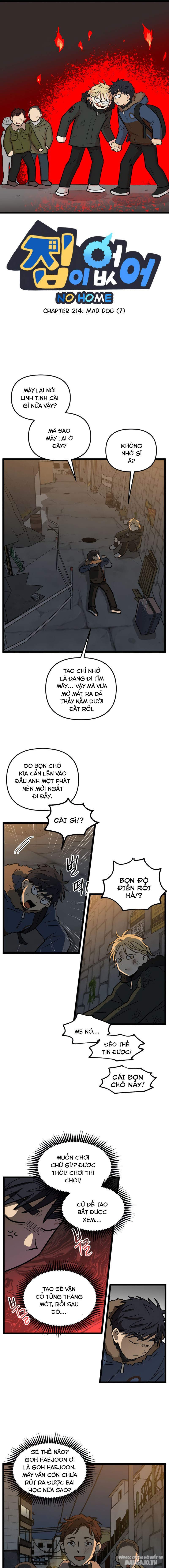 No Home Chapter 214 - Trang 2