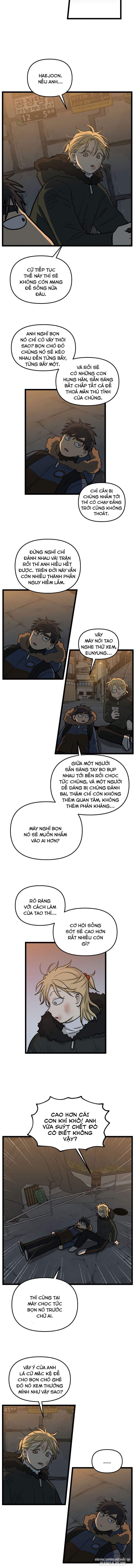 No Home Chapter 214 - Trang 2