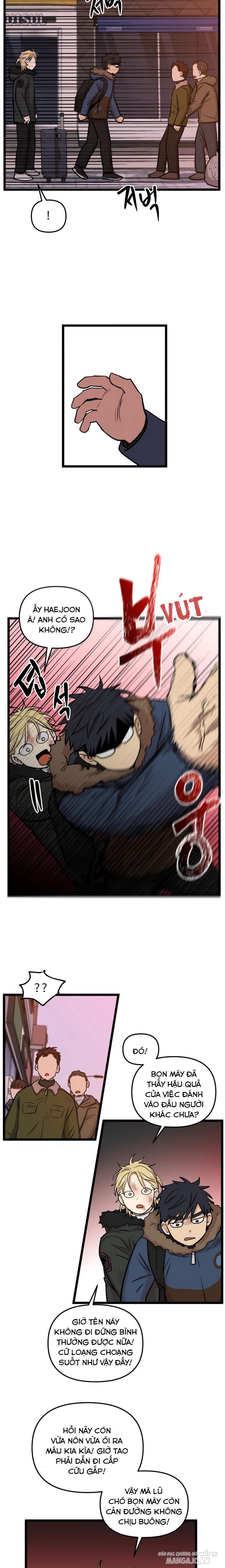 No Home Chapter 215 - Trang 2