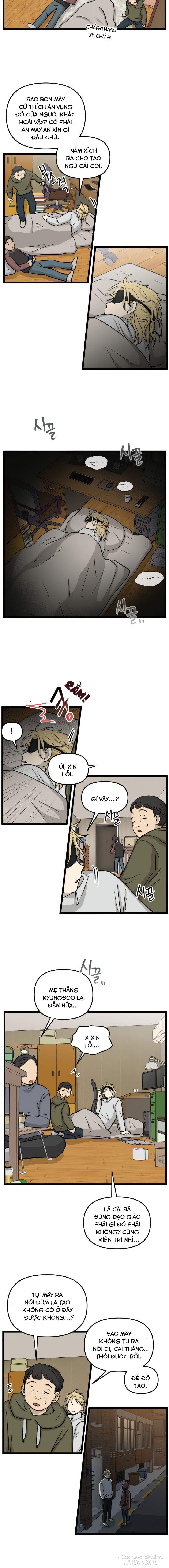 No Home Chapter 217 - Trang 2