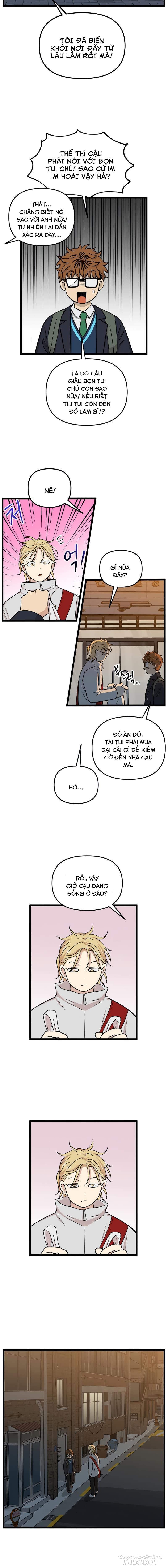 No Home Chapter 218 - Trang 2