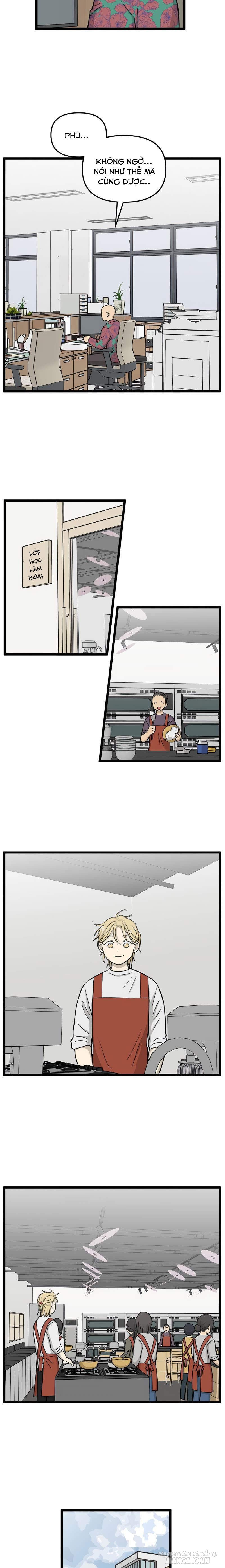 No Home Chapter 219 - Trang 2