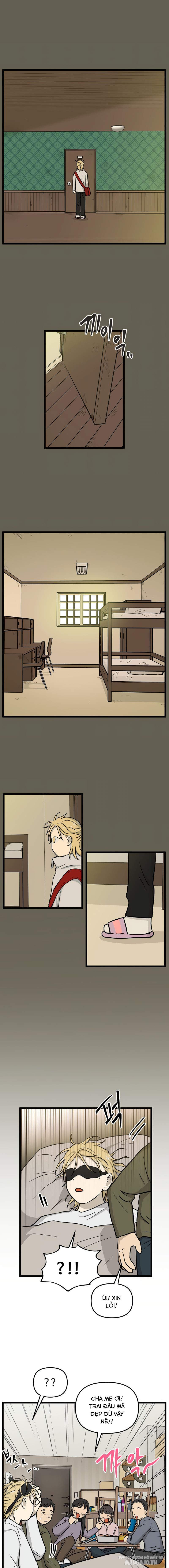 No Home Chapter 220 - Trang 2