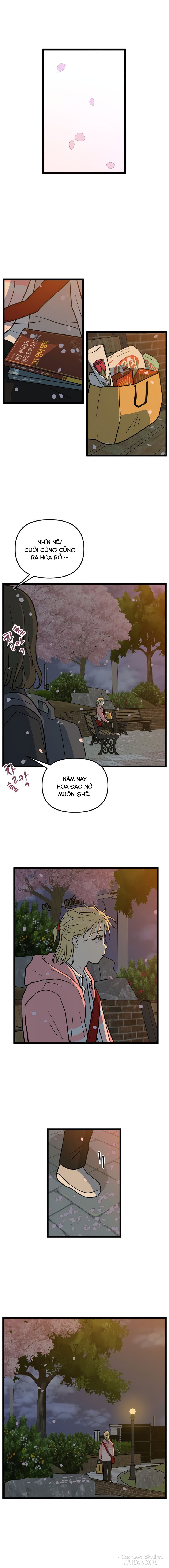 No Home Chapter 225 - Trang 2