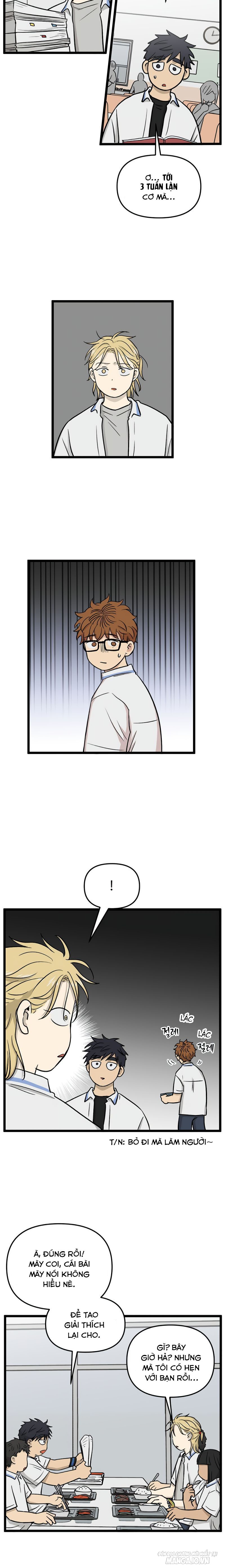 No Home Chapter 232 - Trang 2