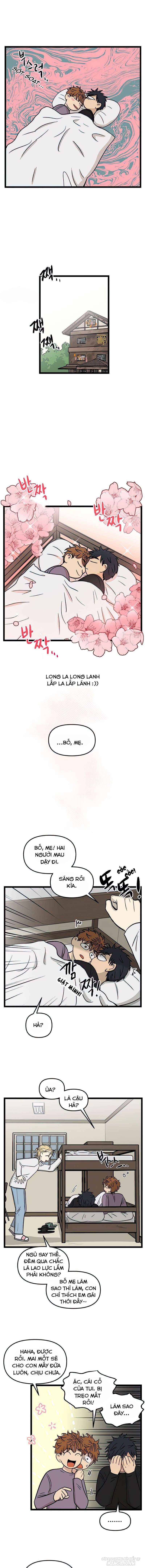 No Home Chapter 97 - Trang 2