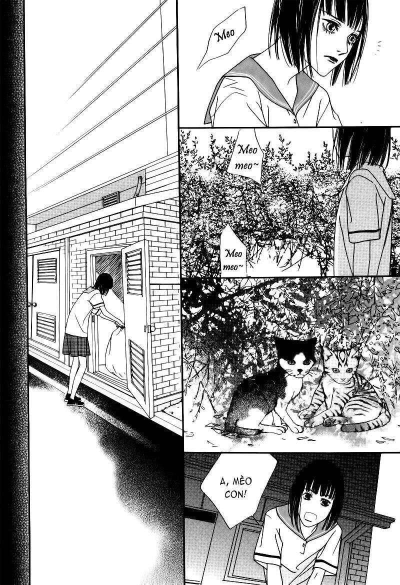 Nobody Knows Chapter 4 - Trang 2