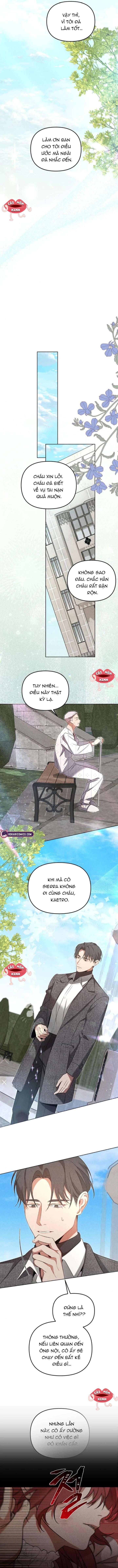 Nơi Đóa Hồng Vàng Úa Tàn Chapter 11 - Trang 2