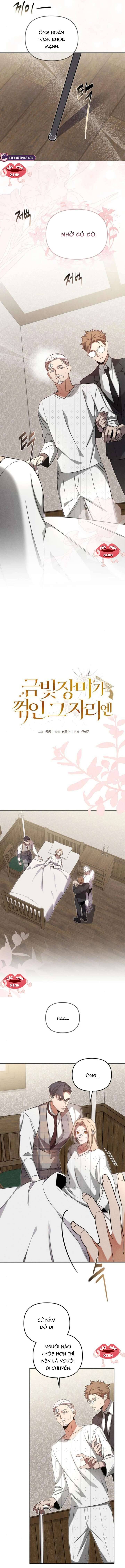 Nơi Đóa Hồng Vàng Úa Tàn Chapter 11 - Trang 2