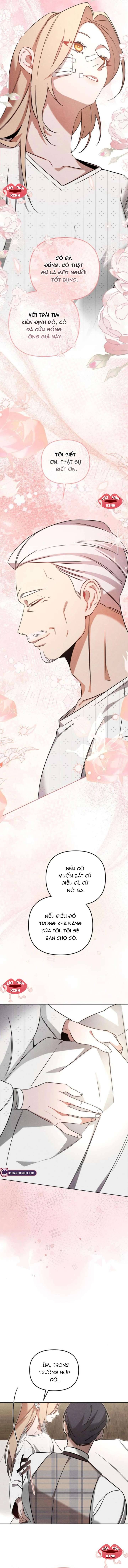 Nơi Đóa Hồng Vàng Úa Tàn Chapter 11 - Trang 2