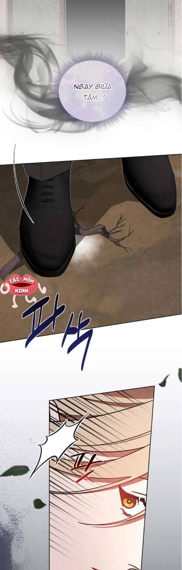 Nơi Đóa Hồng Vàng Úa Tàn Chapter 12 - Trang 2