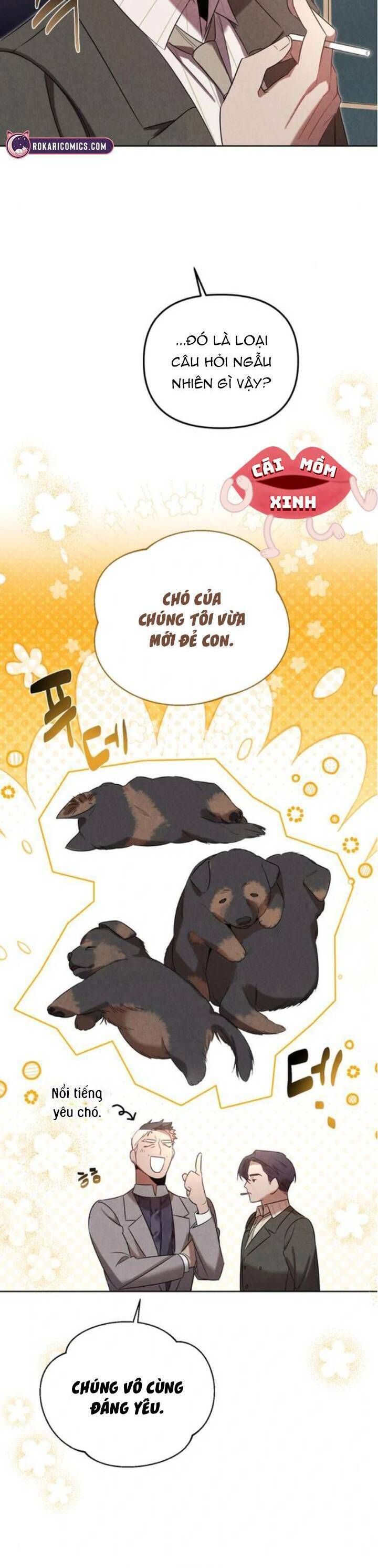 Nơi Đóa Hồng Vàng Úa Tàn Chapter 13 - Trang 2