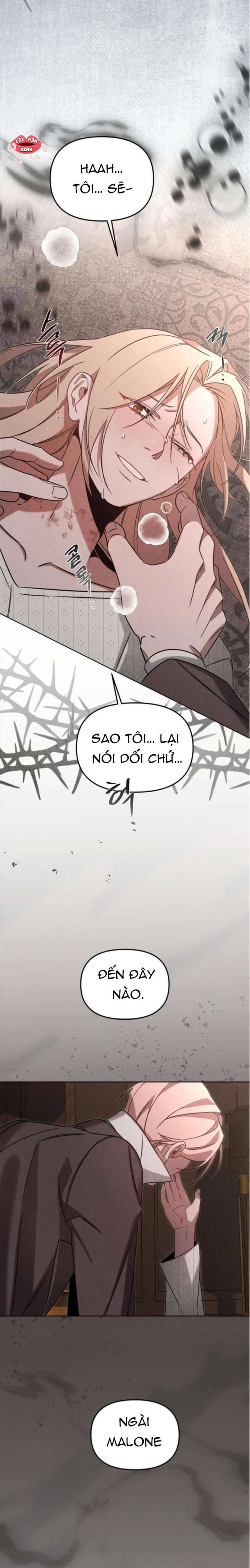 Nơi Đóa Hồng Vàng Úa Tàn Chapter 21 - Trang 2