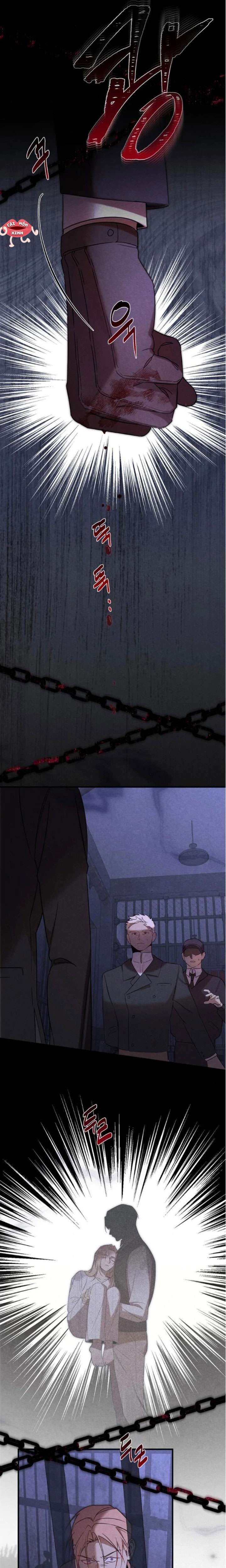 Nơi Đóa Hồng Vàng Úa Tàn Chapter 23 - Trang 2