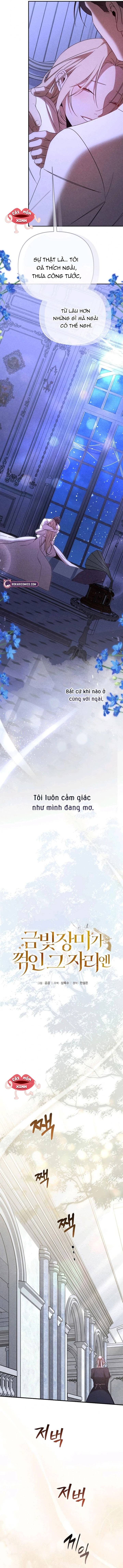 Nơi Đóa Hồng Vàng Úa Tàn Chapter 24 - Trang 2