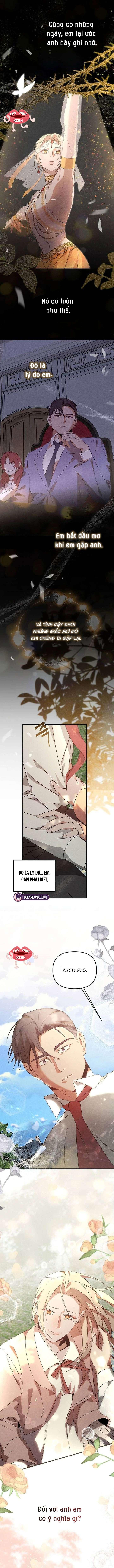 Nơi Đóa Hồng Vàng Úa Tàn Chapter 25 - Trang 2