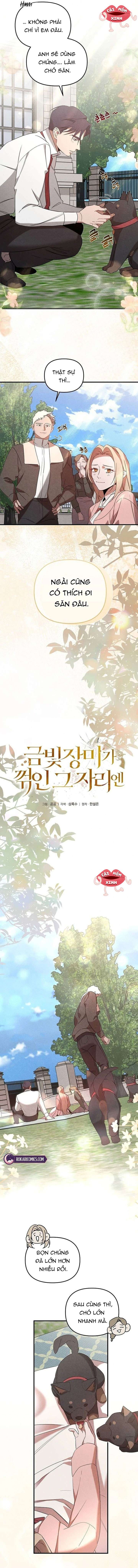 Nơi Đóa Hồng Vàng Úa Tàn Chapter 25 - Trang 2