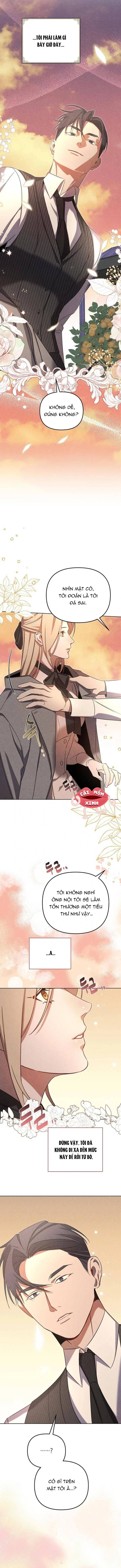 Nơi Đóa Hồng Vàng Úa Tàn Chapter 8 - Trang 2