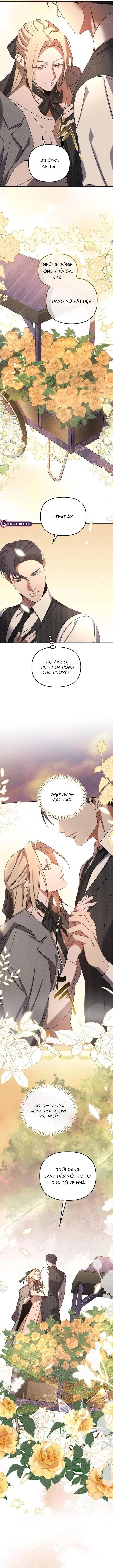 Nơi Đóa Hồng Vàng Úa Tàn Chapter 8 - Trang 2