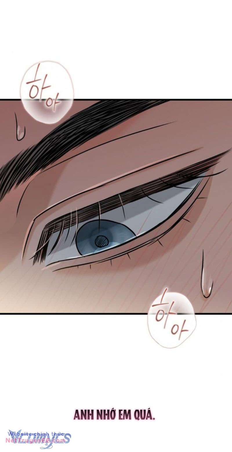 Nóng Lòng Muốn Giày Vò Em Chapter 38 - Trang 2