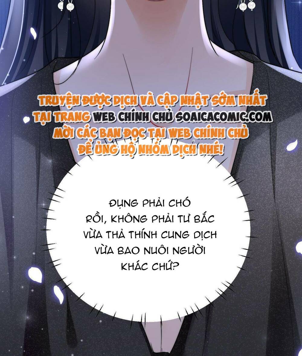 Nữ Chính Hắc Hóa Sau Trọng Sinh Chapter 48 - Trang 2