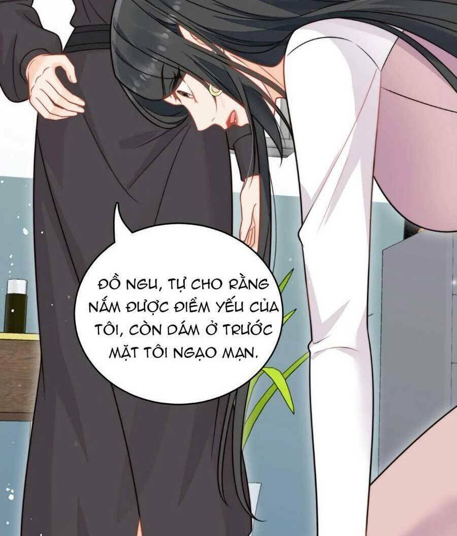 Nữ Chính Hắc Hóa Sau Trọng Sinh Chapter 6 - Trang 2