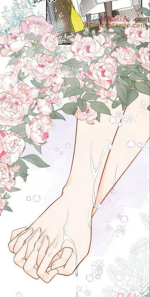 Nữ Chính Hắc Hóa Sau Trọng Sinh Chapter 68 - Trang 2