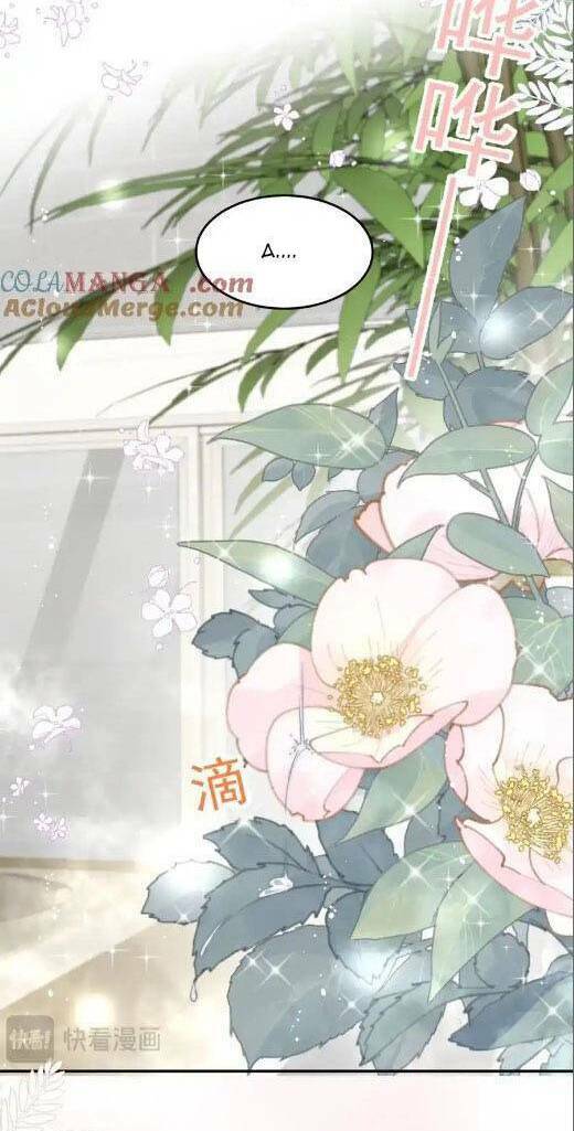 Nữ Chính Hắc Hóa Sau Trọng Sinh Chapter 68 - Trang 2