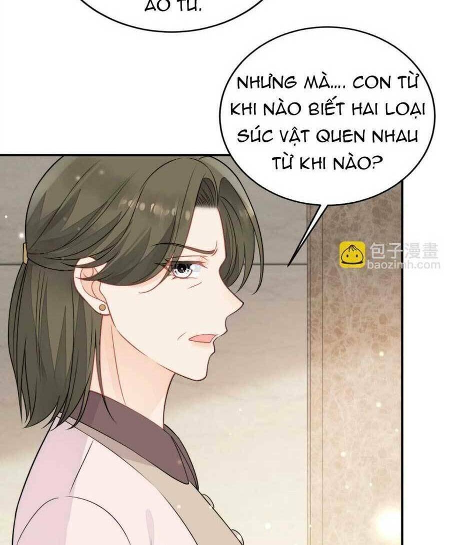 Nữ Chính Hắc Hóa Sau Trọng Sinh Chapter 7 - Trang 2