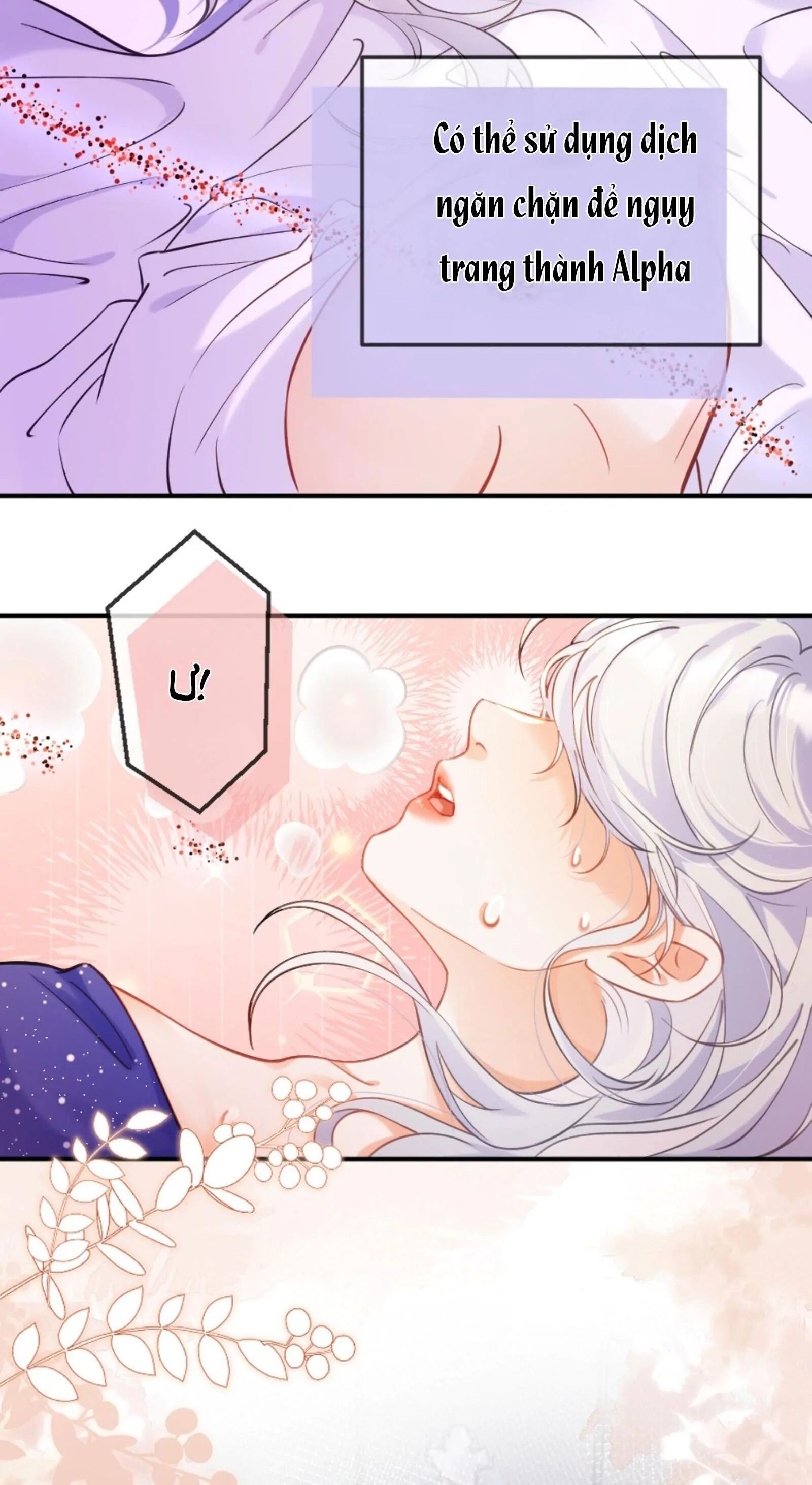 Nữ Chính Hắc Nguyệt Quang Luôn Muốn Đánh Dấu Tôi Chapter 1 - Trang 2