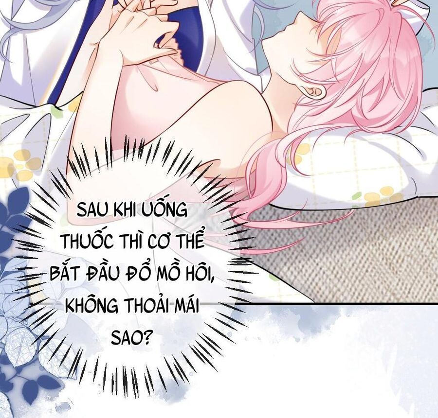 Nữ Chính Hắc Nguyệt Quang Luôn Muốn Đánh Dấu Tôi Chapter 2 - Trang 2