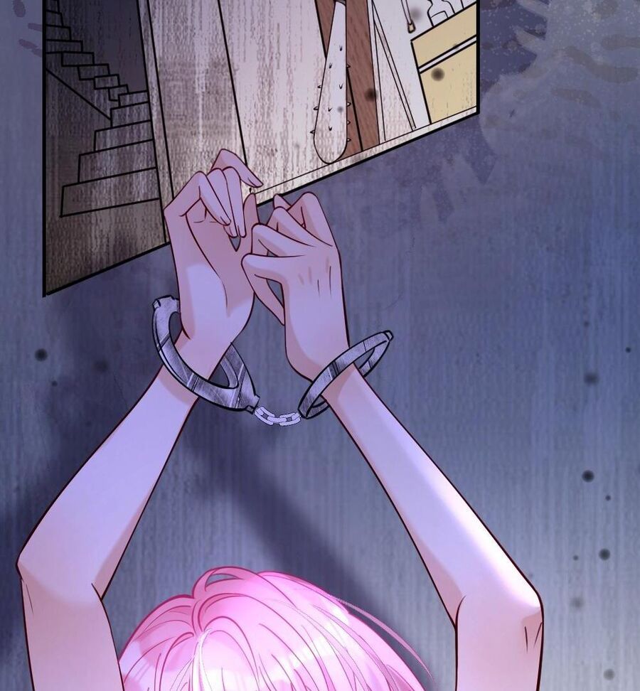 Nữ Chính Hắc Nguyệt Quang Luôn Muốn Đánh Dấu Tôi Chapter 2 - Trang 2