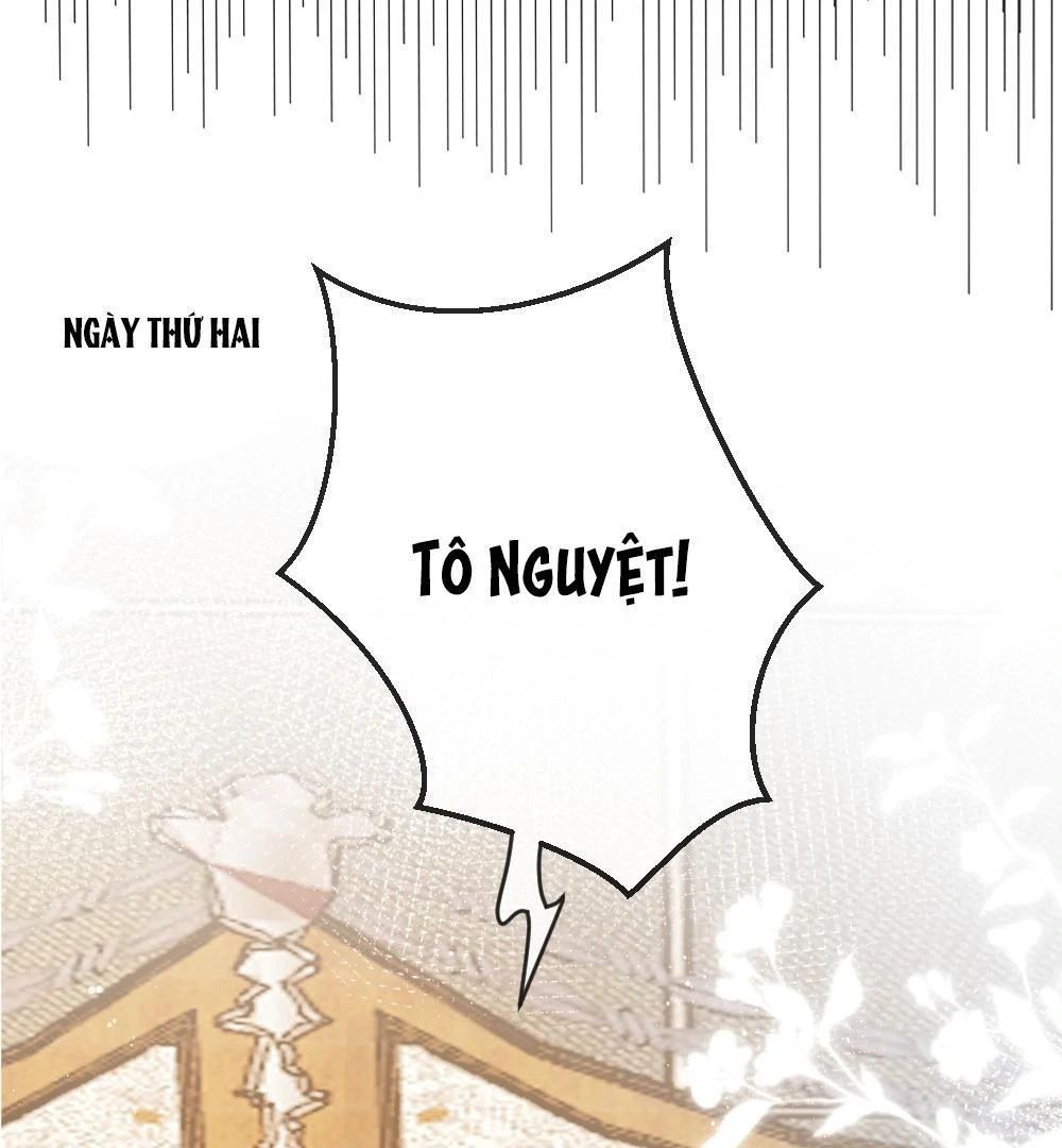 Nữ Chính Hắc Nguyệt Quang Luôn Muốn Đánh Dấu Tôi Chapter 2 - Trang 2