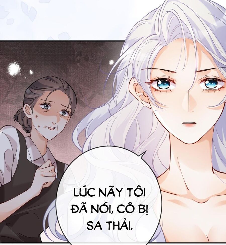 Nữ Chính Hắc Nguyệt Quang Luôn Muốn Đánh Dấu Tôi Chapter 3 - Trang 2