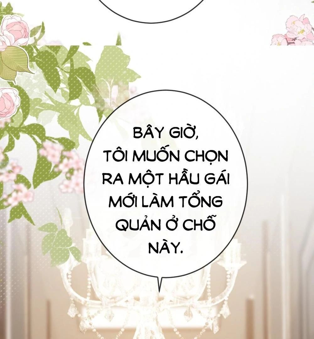 Nữ Chính Hắc Nguyệt Quang Luôn Muốn Đánh Dấu Tôi Chapter 3 - Trang 2