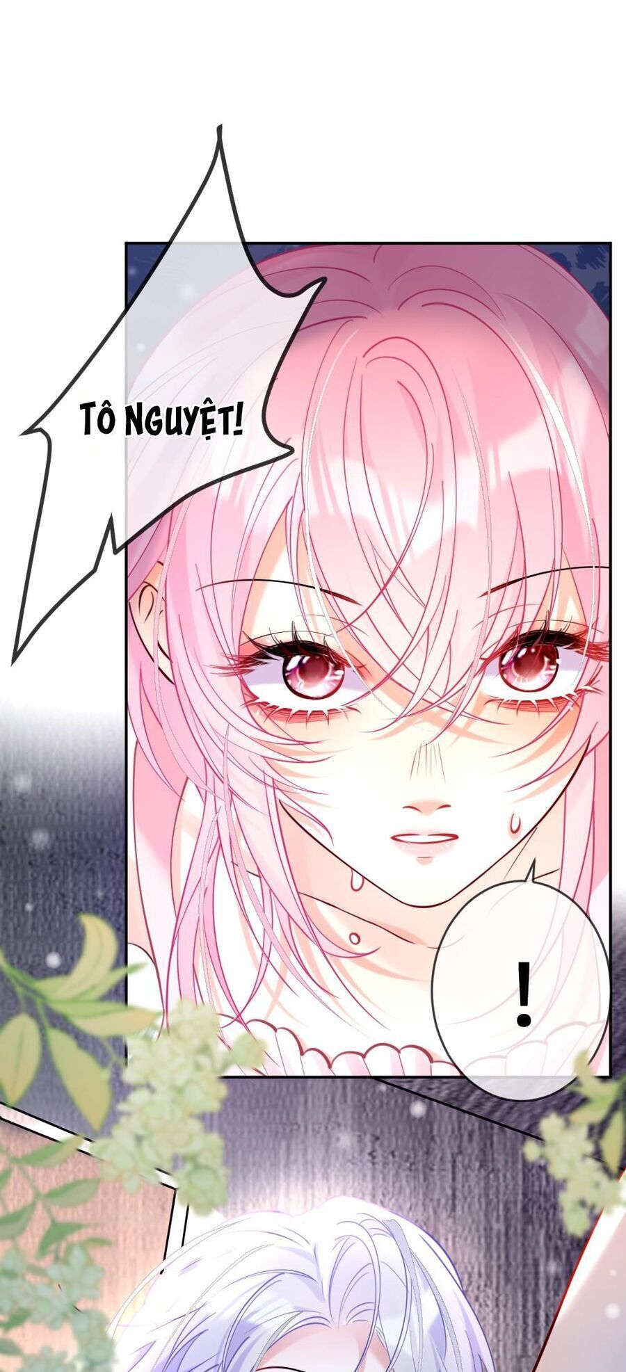 Nữ Chính Hắc Nguyệt Quang Luôn Muốn Đánh Dấu Tôi Chapter 3 - Trang 2