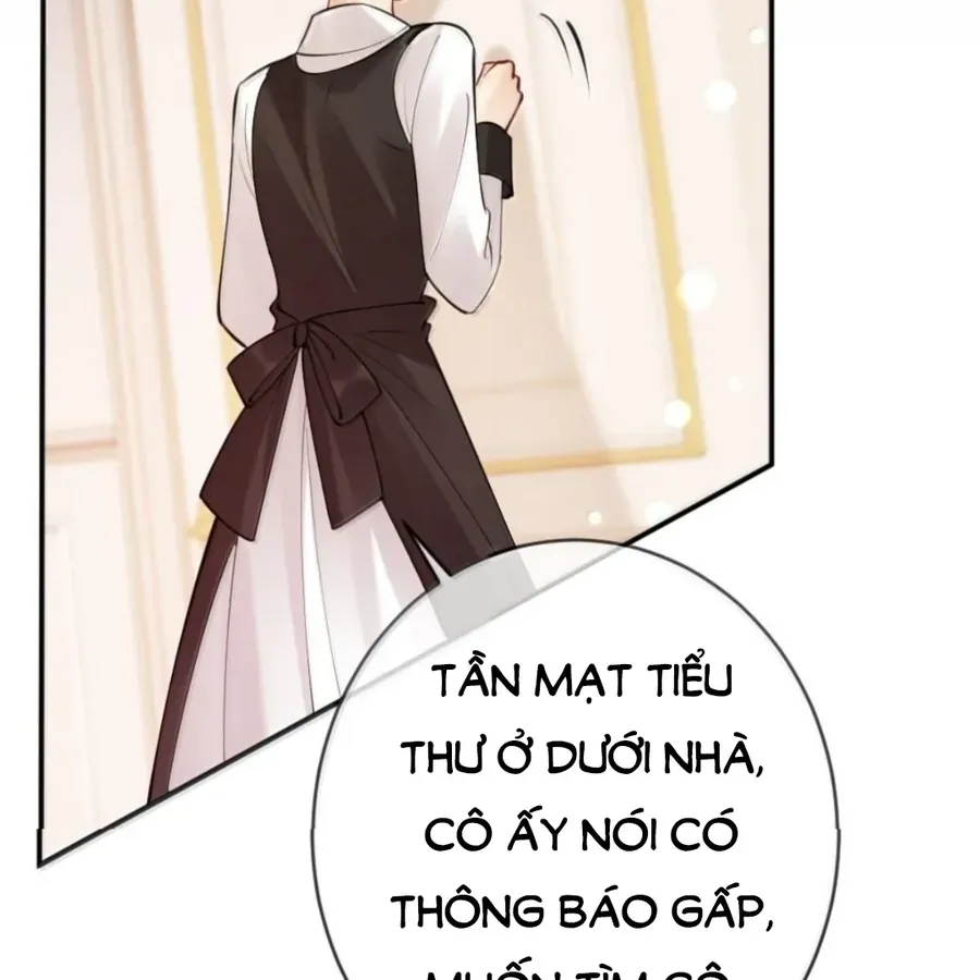 Nữ Chính Hắc Nguyệt Quang Luôn Muốn Đánh Dấu Tôi Chapter 40 - Trang 2